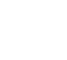 DS Automobiles